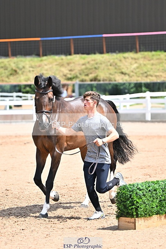 240718A-105302-01485 - Trot Up 12pm to 1pm