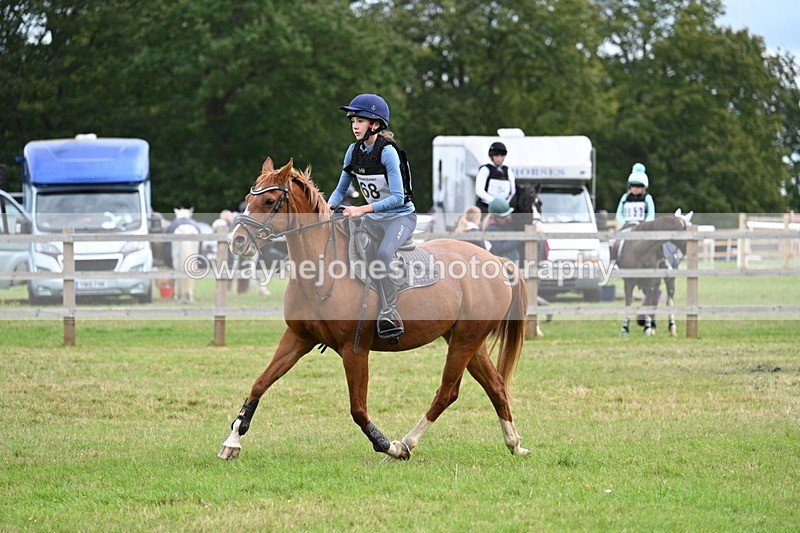 WJ7_9038 - 60cm Time 12:51 to 13:18