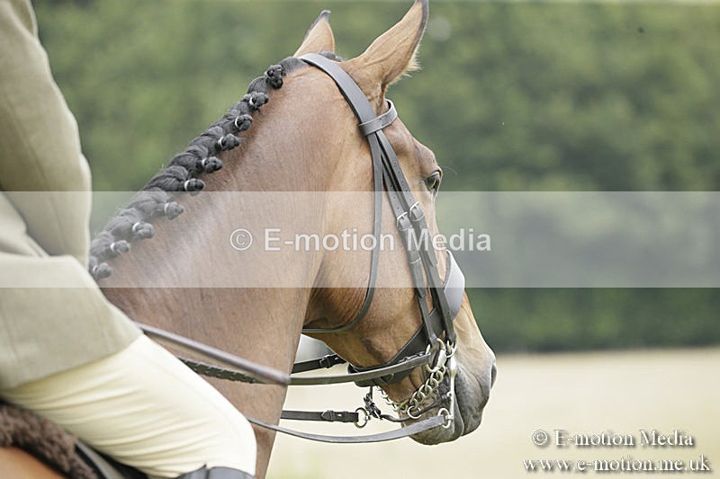 B230619-0818 - Bourne Valley Riding Club Summer Show 23/06/19