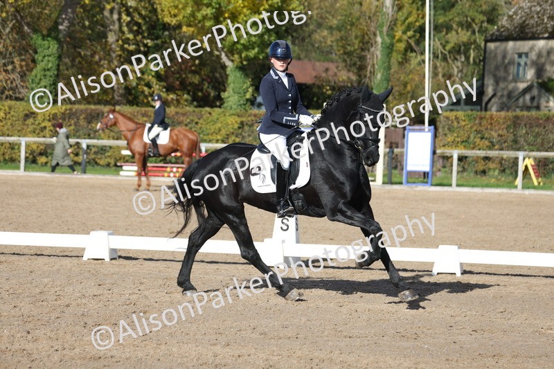 20251102-0628 - Class 4 - Novice 6