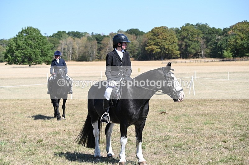 WJ6_8508 - Class 37a Best Loan Pony Ridden