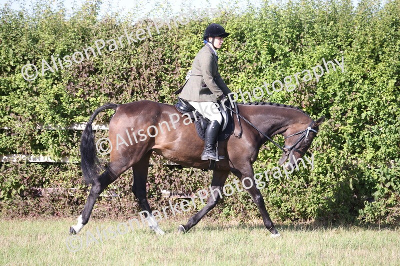 20260906-0401 - Class 14 - Ex Racehorse