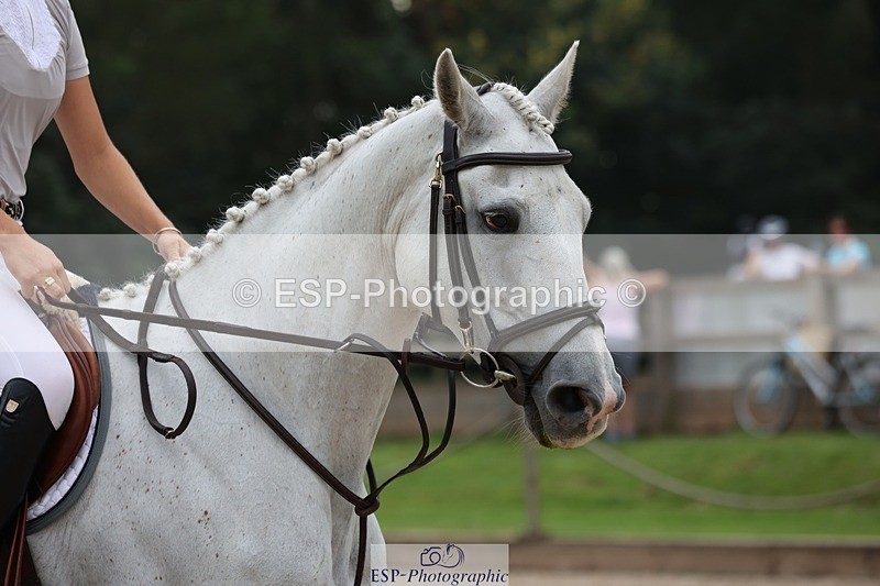 230908-164704-02954 - Cls 9 Snr Newcomers & 1.10m Open