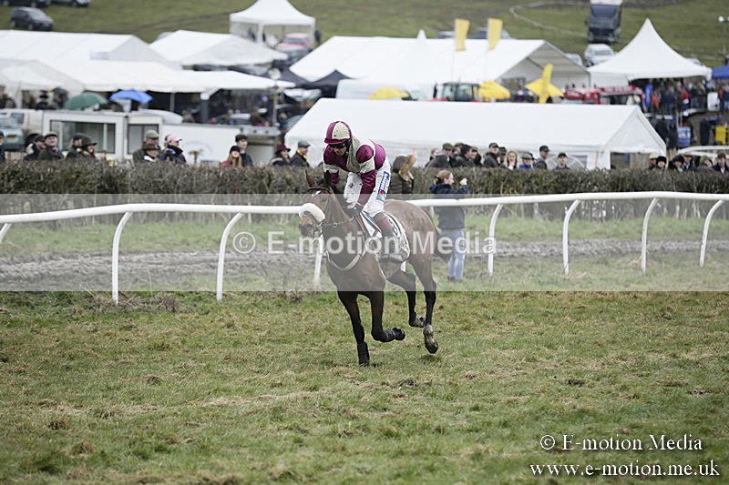 PtP 020418 -493 - Old Berks Point-to-Point Races Easter Monday 02/04/18