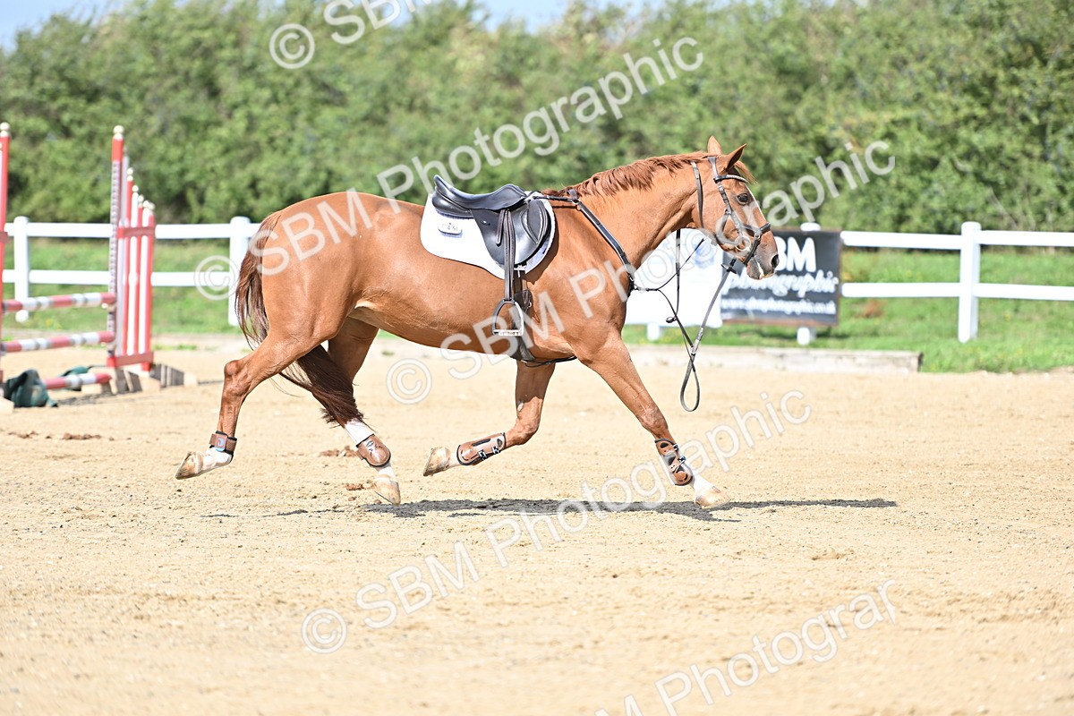 SBM_000872 - Class 41 - 80cm