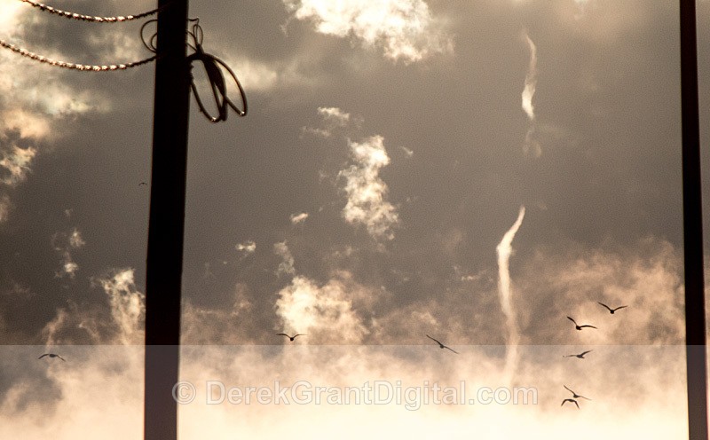 Arctic Fog Sea Smoke Vortices Steam Devils - Extreme Weather