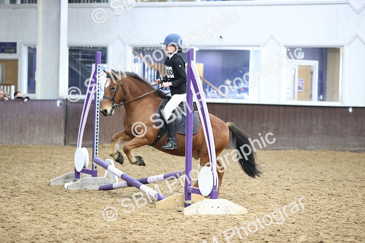SBM_000152 - Class 2 - The Rug Lady 40cm Area 12 Championship Qualifier