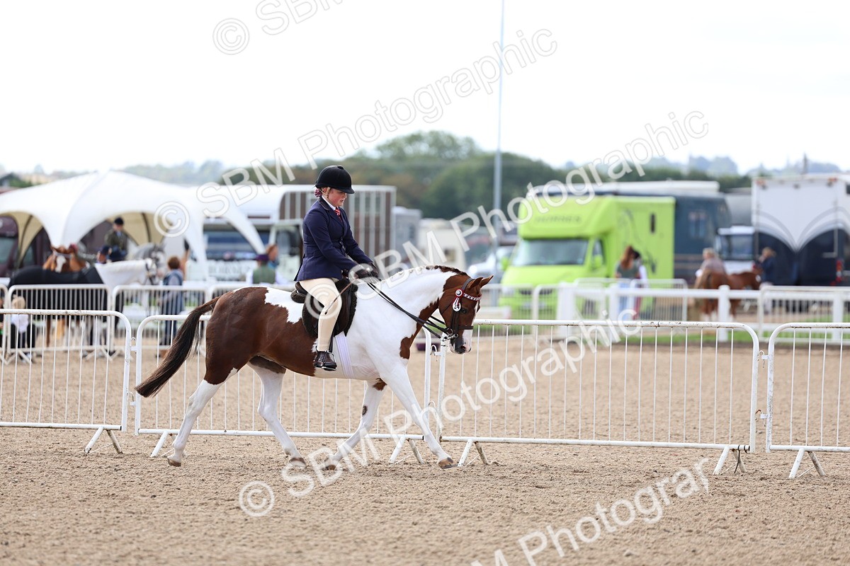 SBM_10069 - Class 304 - Ridden Part Bred Horse Pony