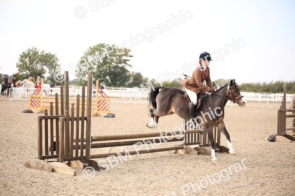 SBM_16076 - Class 408b - Working Veteran 70cm (20+)