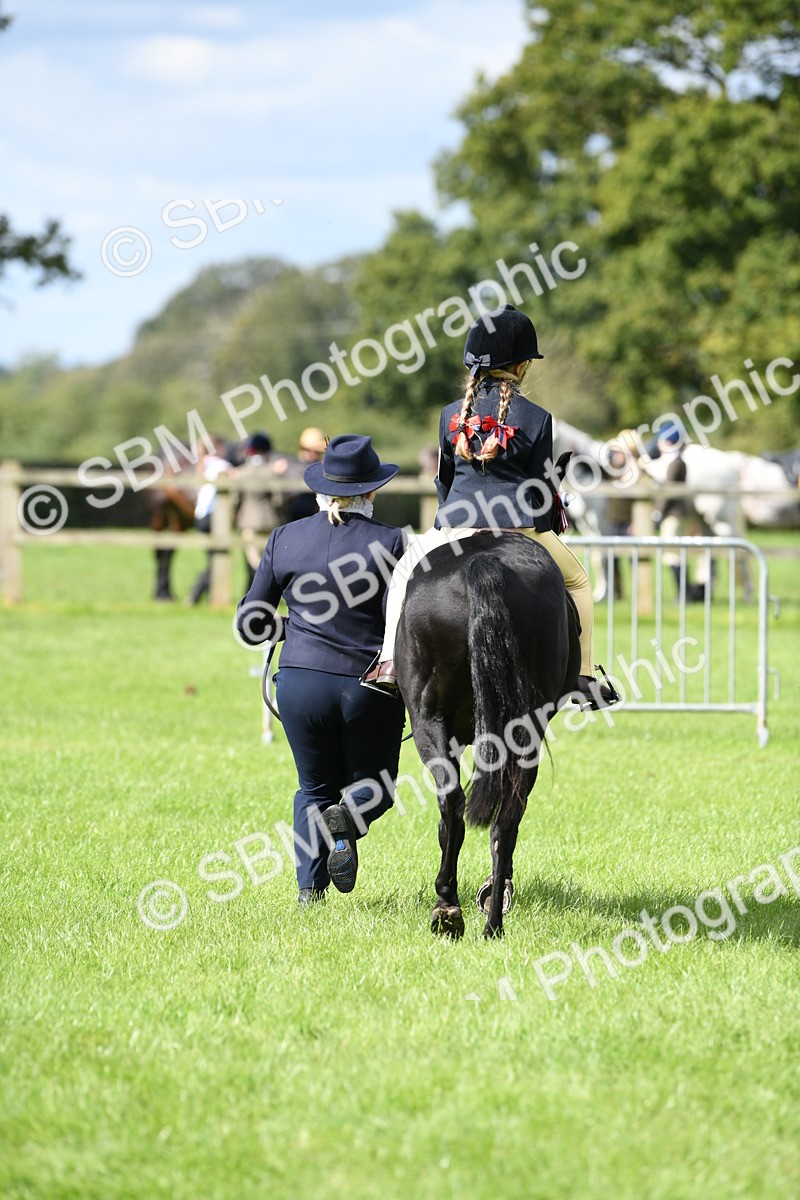 SBM_41205 - S19 - Lead Rein Show & Show Hunter Pony