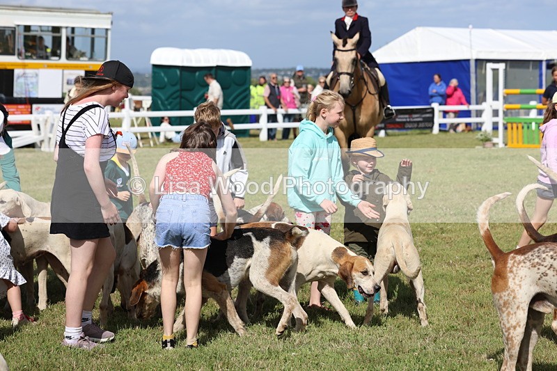 3E7A3413 - Parade of Hounds