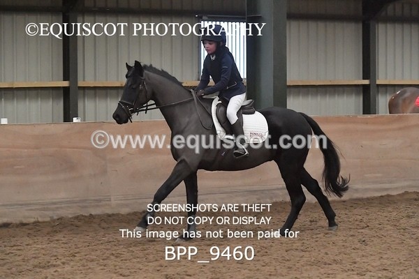 BPP_9460 - CLASS 5 60CM Progressive Show Jumping