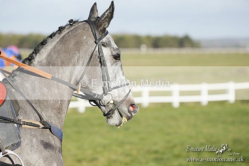 PtP 121220 290 - Avon Vale Races Larkhill 12/12/20