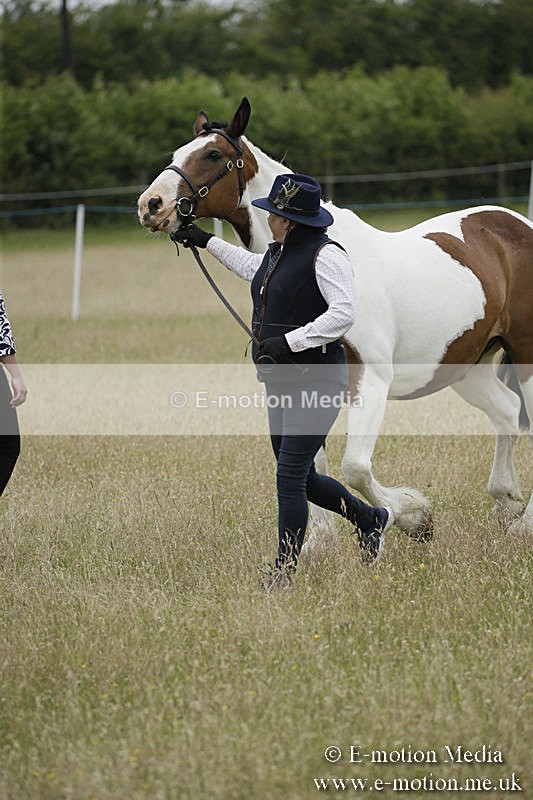 B230619-0743 - Bourne Valley Riding Club Summer Show 23/06/19