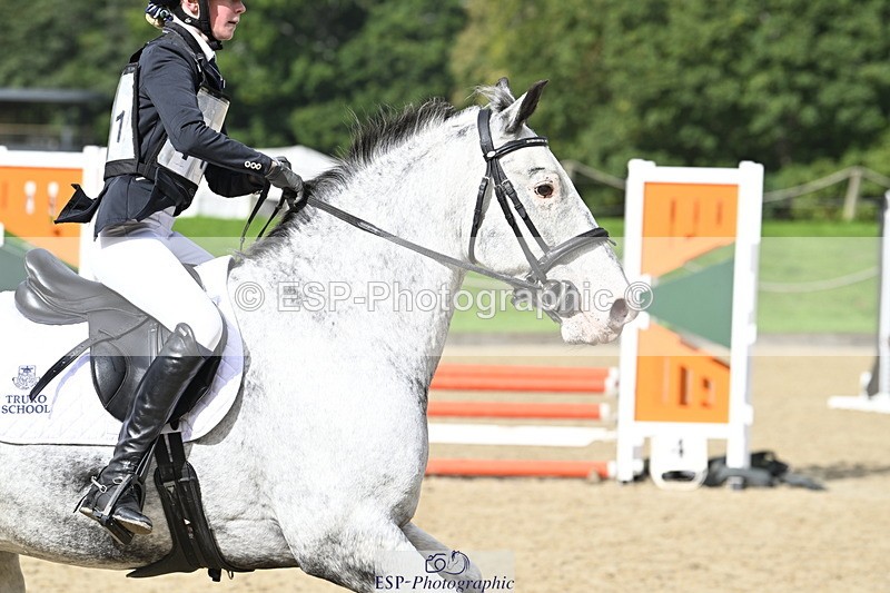 251005A-121029-03636 - Cls 08 Mini 70-75cm