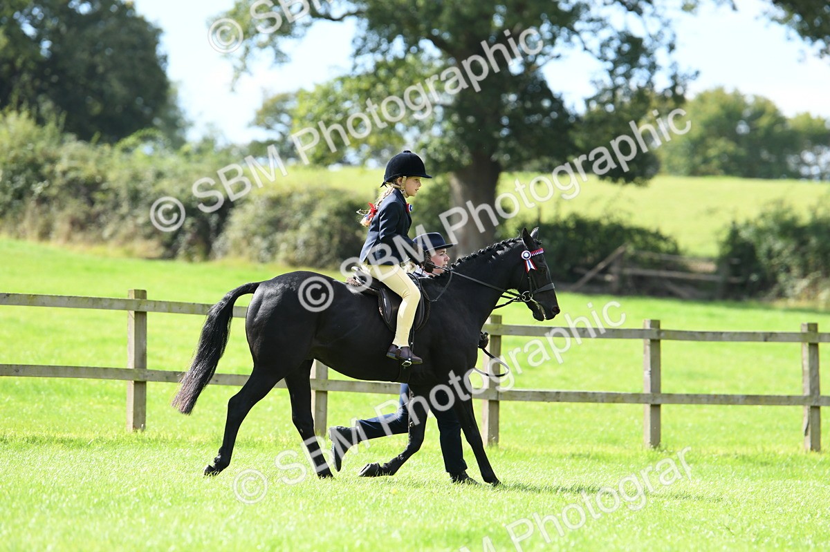 SBM_41143 - S19 - Lead Rein Show & Show Hunter Pony