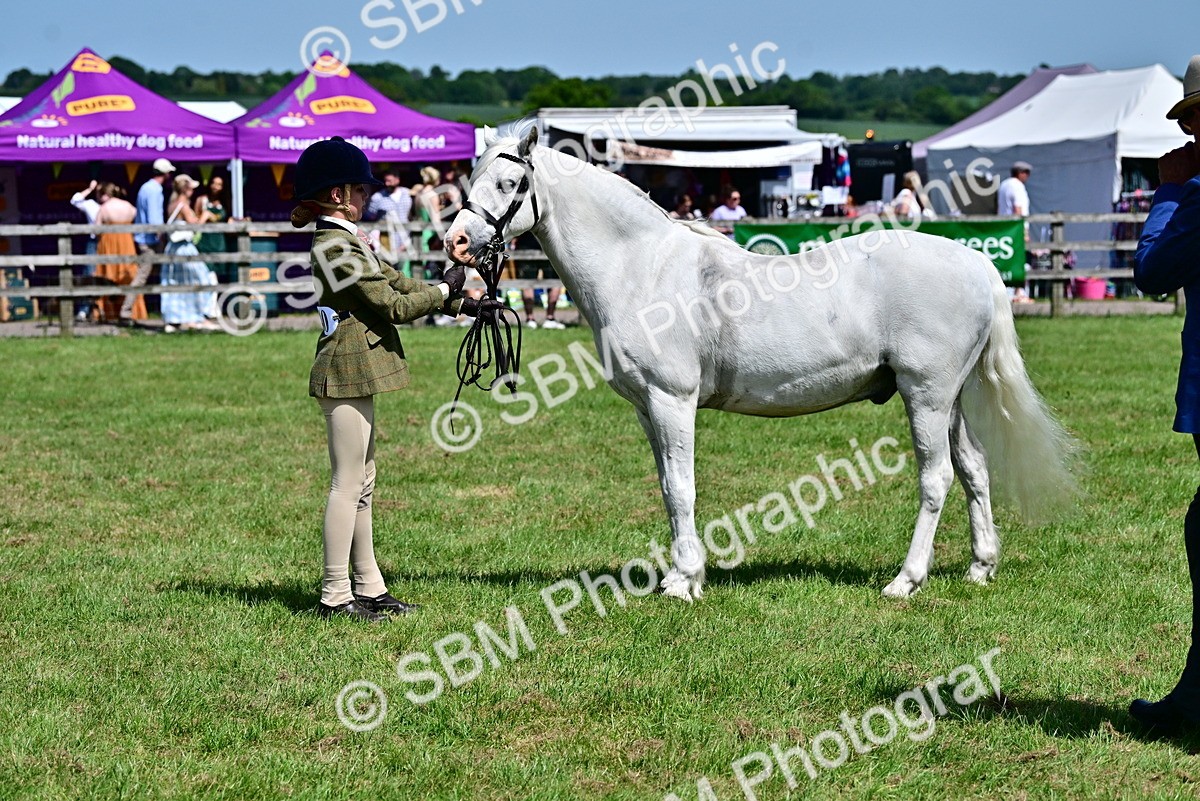 SBM_07818