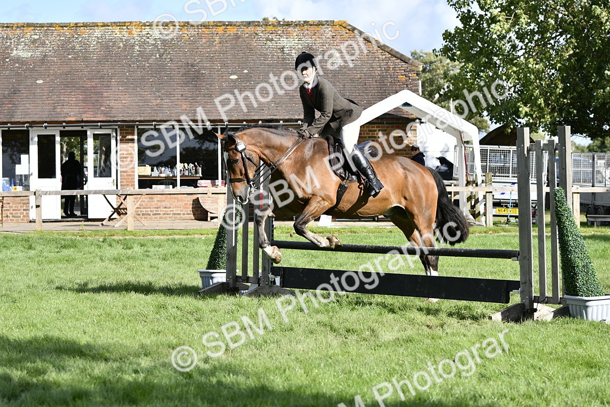 SBM_49981 - S34 - Novice & Newcomers Working Hunter