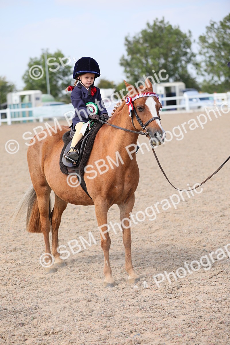 SBM_14115 - Class 309 Lead Rein Pony
