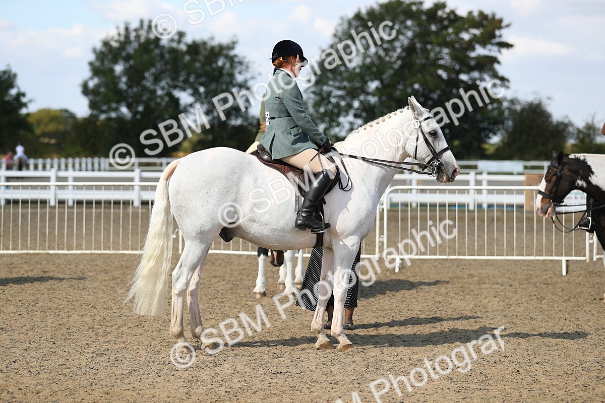SBM_03252 - Class 44 Riding Club Horse/ Pony
