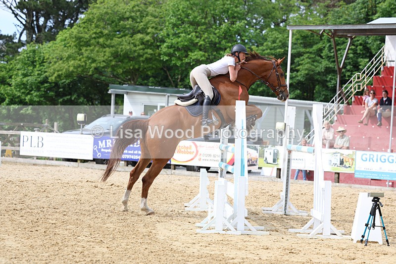 3E7A7765 - Class 8: Senior Foxhunter/1.20 open