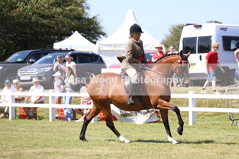 3E7A7510 - Rising Star Ridden Championship