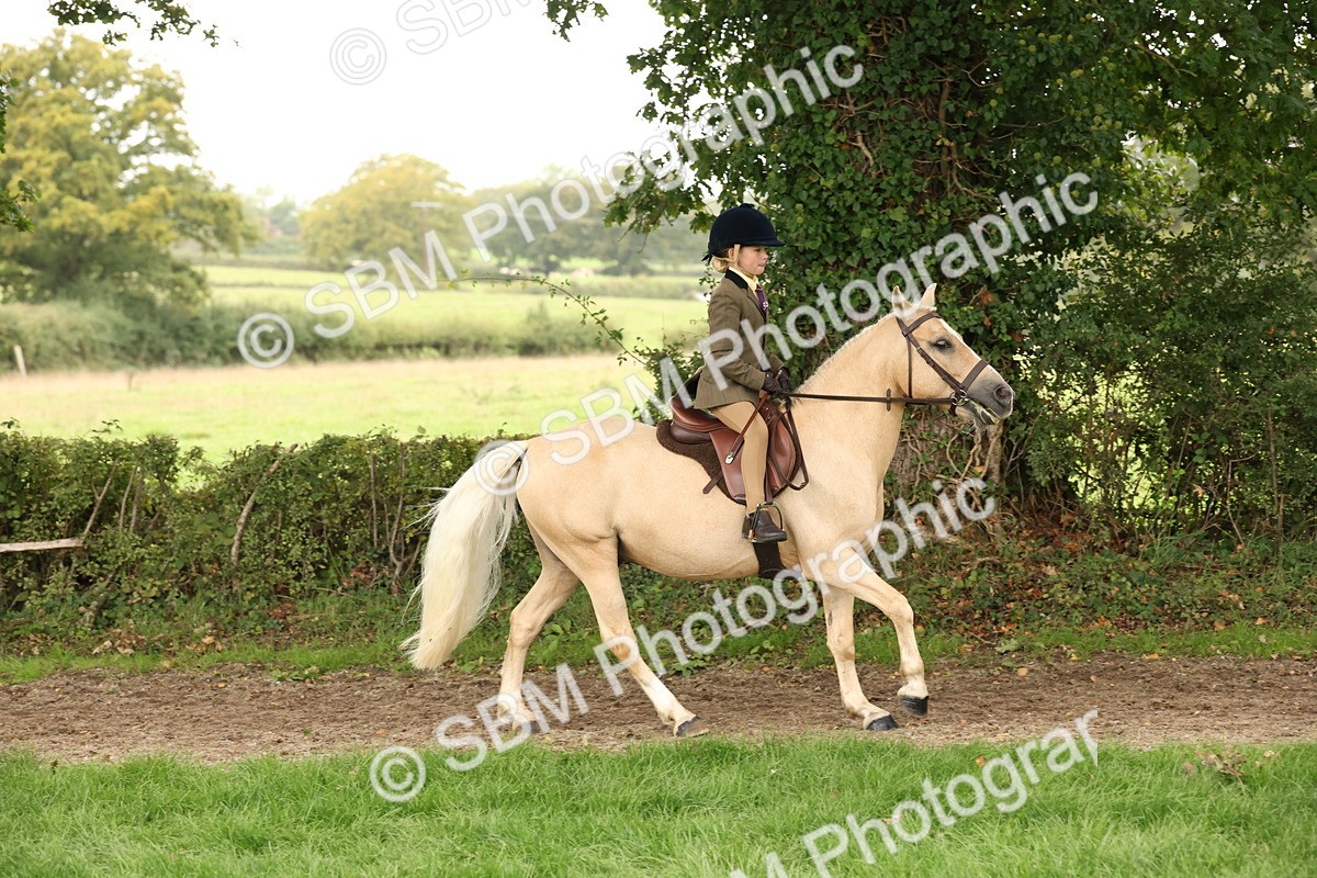 SBM_63003 - S64 - Foreign Breeds Ridden