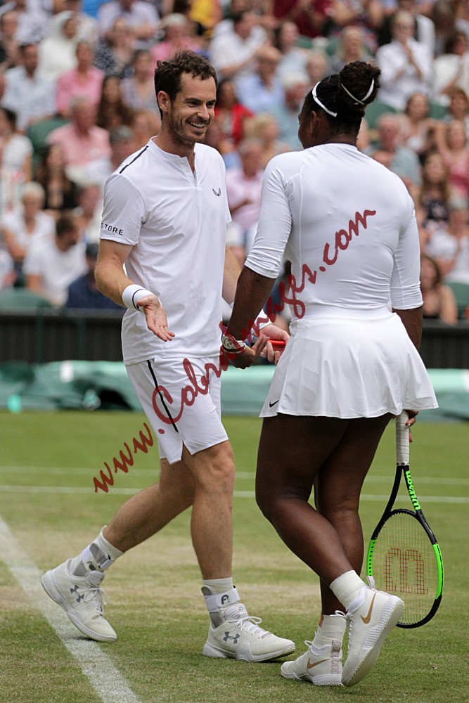 AF0I0166 - Wimbledon