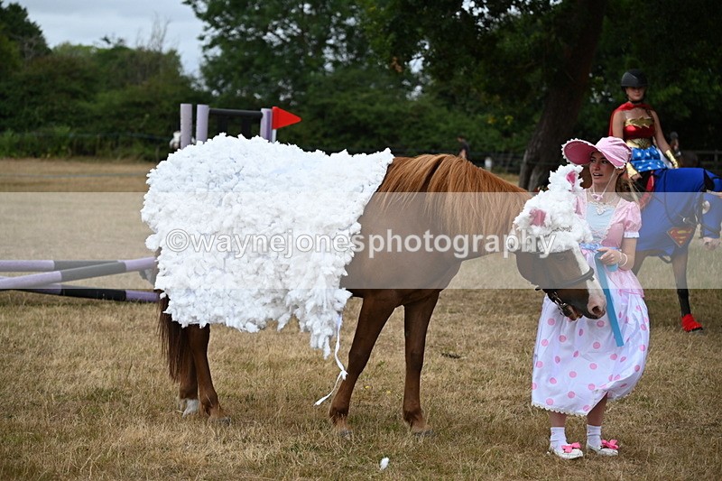 WJ6_8759 - Class 11 Fancy Dress