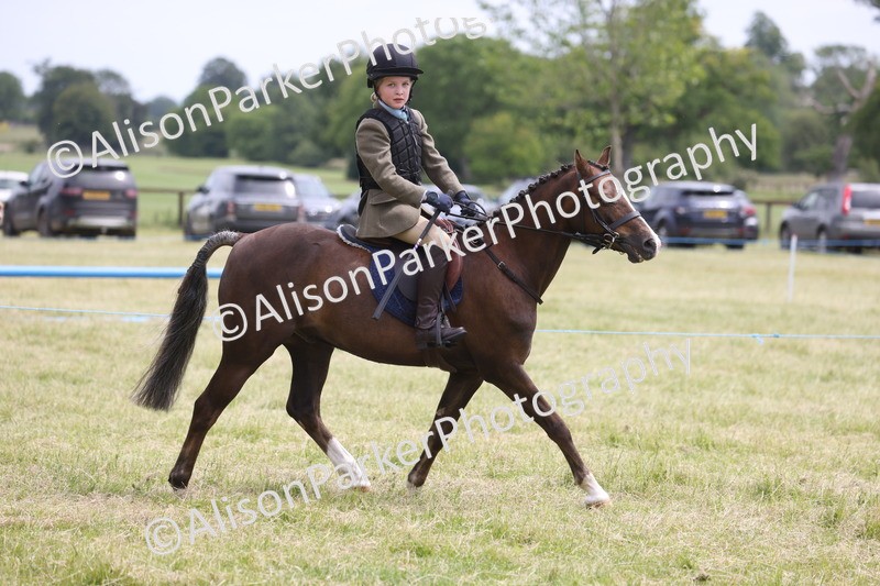 20260614-2871 - Class 22 - Open Working Hunter