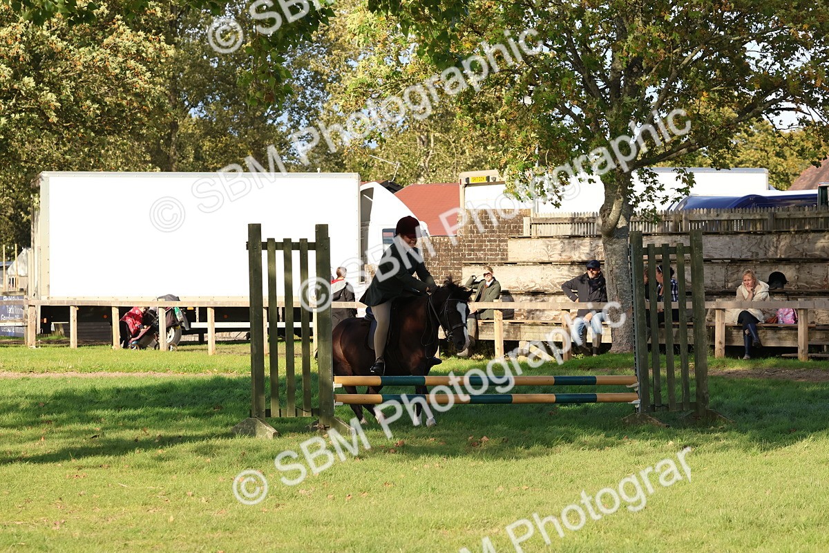 SBM_52542 - S13 - Pony Club Pony