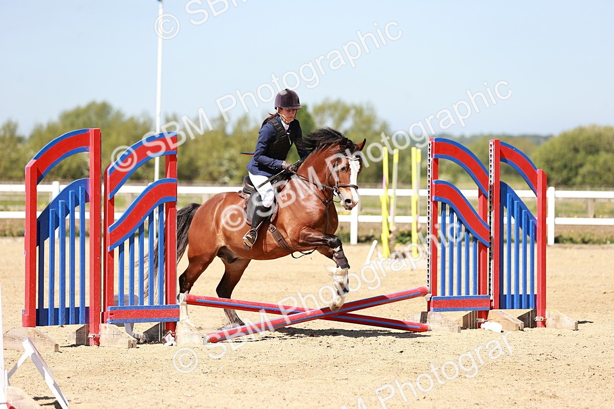 SBM_006986 - Class 2 - 50cm