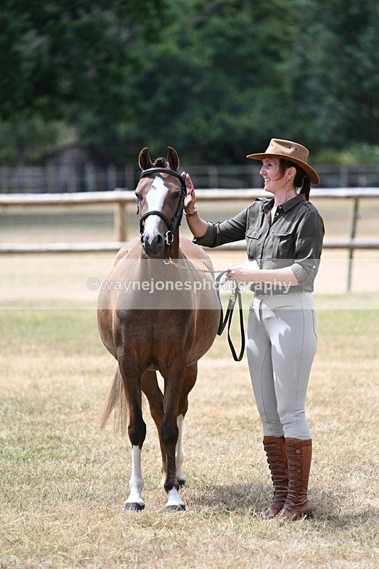WJ7_2111 - Prettiest Mare Champs