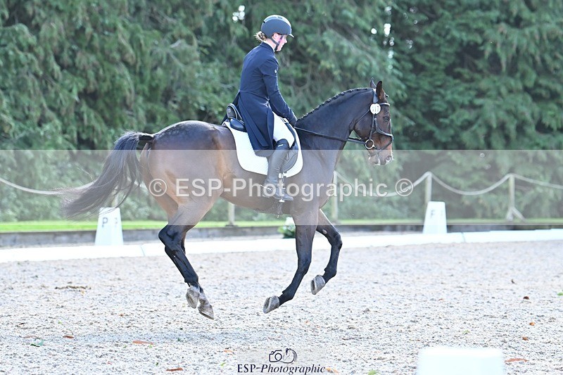 231019-124706-03208 - 117-DERG.FASCINATION-Frederica.Finch-DR