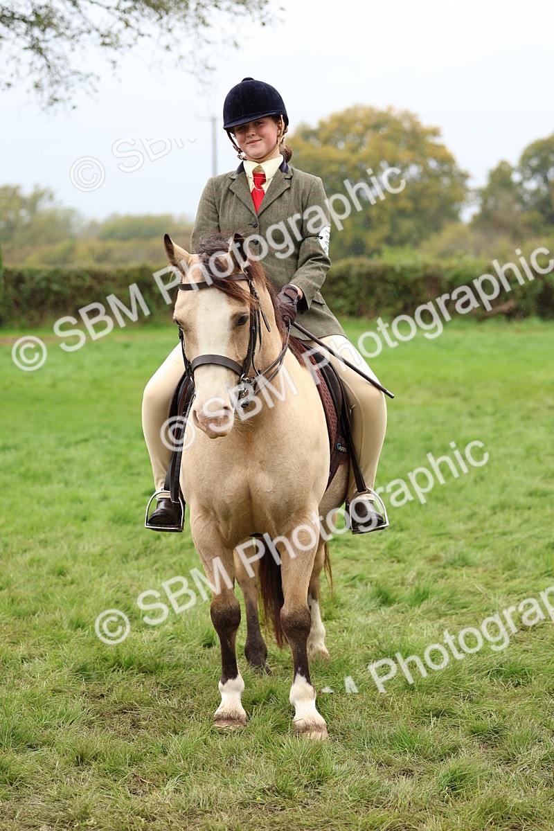 SBM_69626 - S62 - Mountain & Moorland Ridden Large Breeds