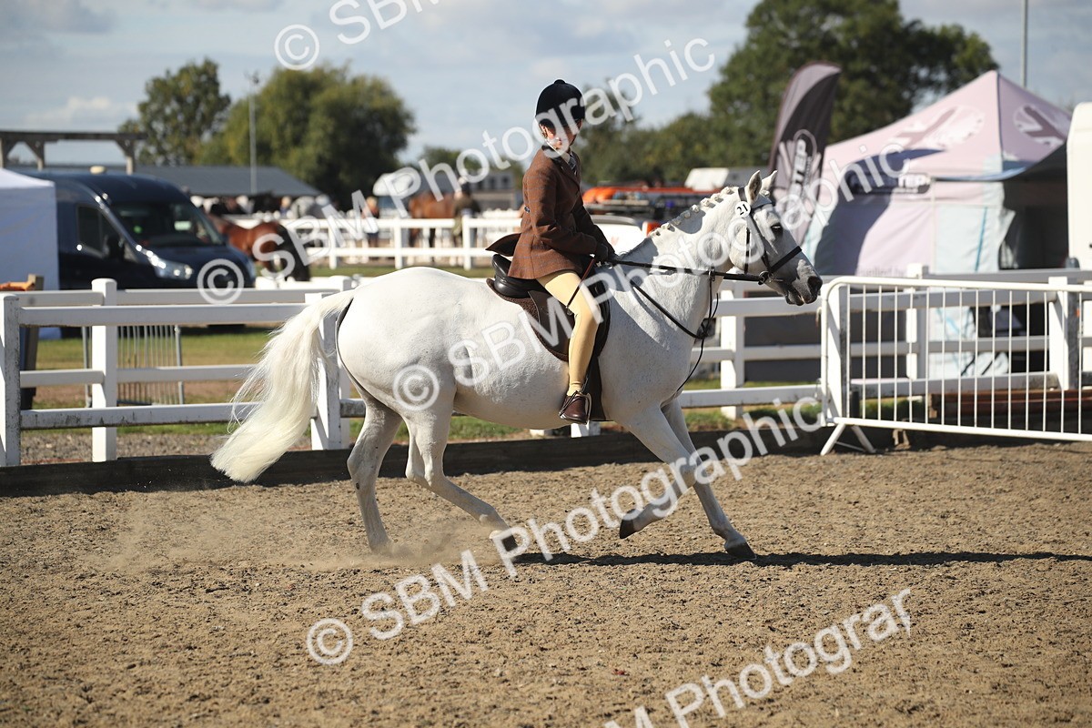 SBM_12755 - Class 504b - Junior Working Veteran - 40cm (20+)