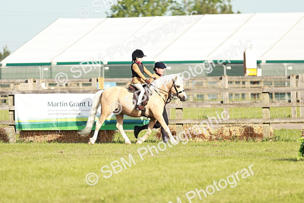 SBM_11039 - Class 106-107 - BSPS LIHS Working Sports Pony