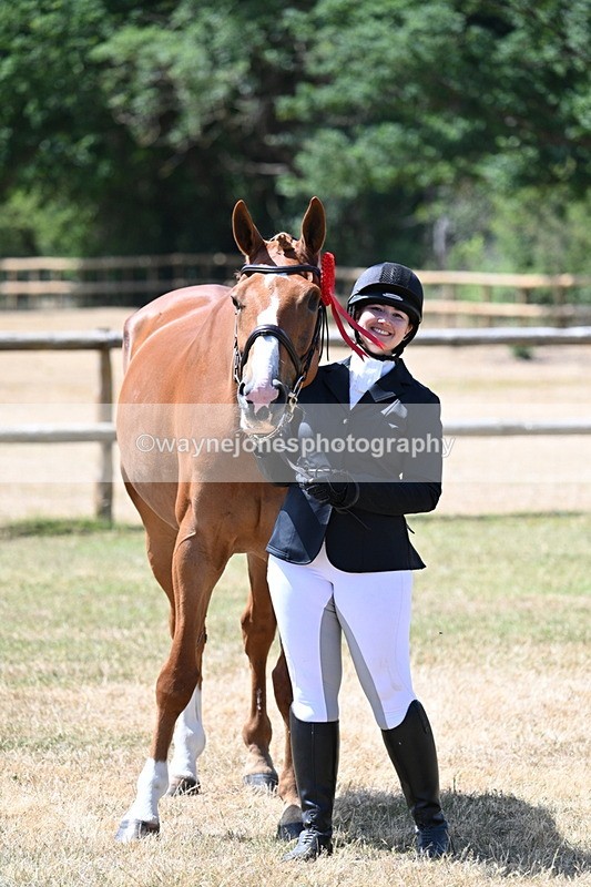 WJ7_2446 - Class 5a Most Handsome Gelding in hand (above 14.2hh)