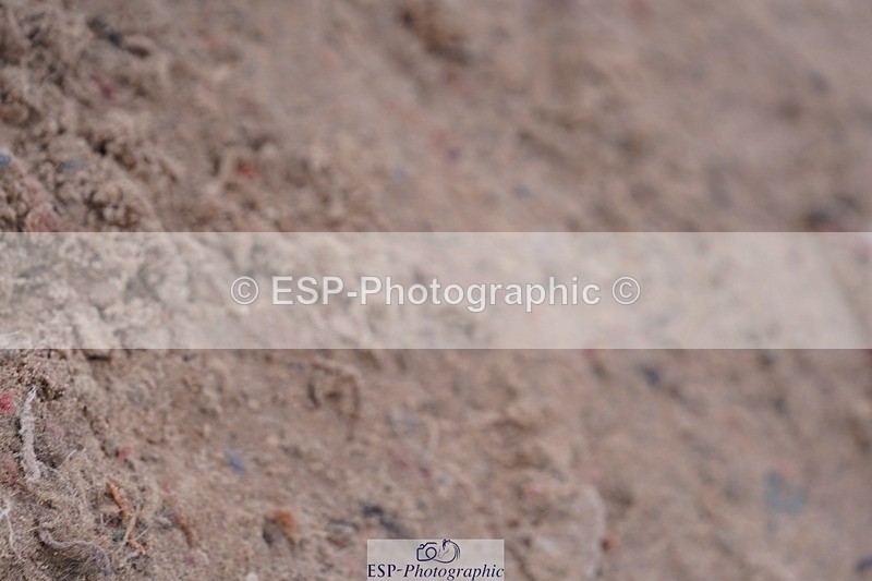 250628-114610-04384 - Cls 22 Springboard