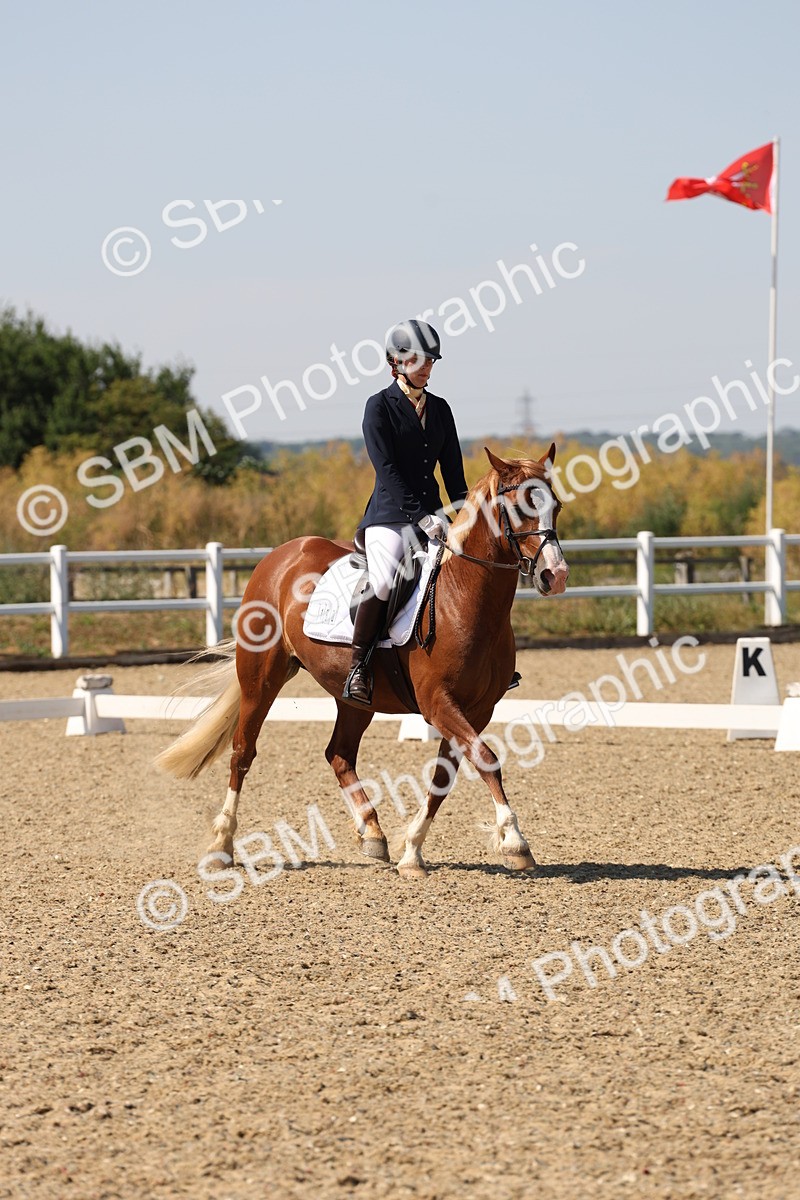 SBM_005735 - Prelim 4 - 13.34-15.39
