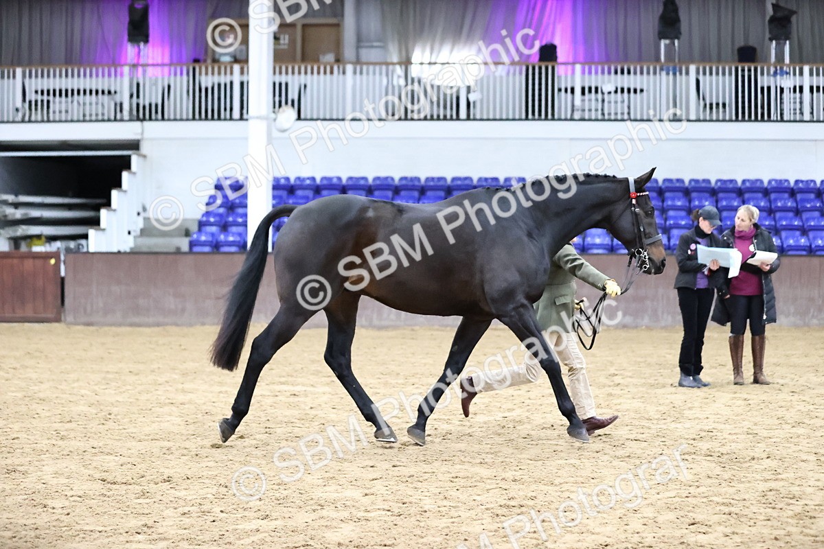 SBM_5811 - Class 4 - ROR Open In Hand