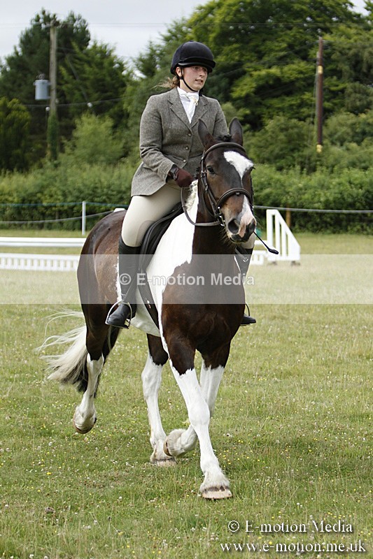 BVR160717-180 - Ring 3 BVRC Show 16/07/17