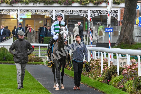 121024-Race 5-Almeric-3330 - Race 5 3.55pm Coral Racing Club EBF Maiden Stakes