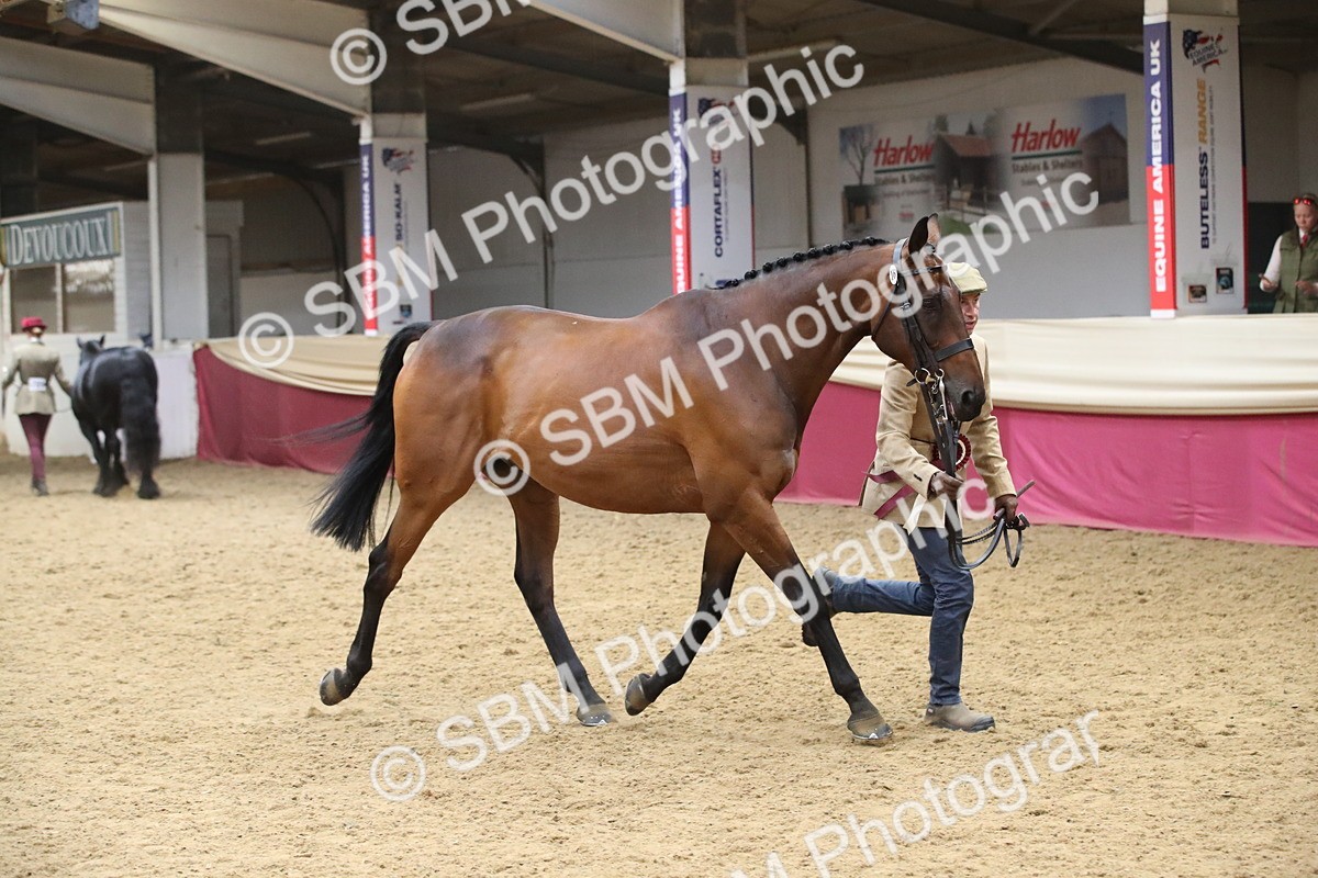 SBM_05825 - Class 9R - Regional IH Pre-Vet