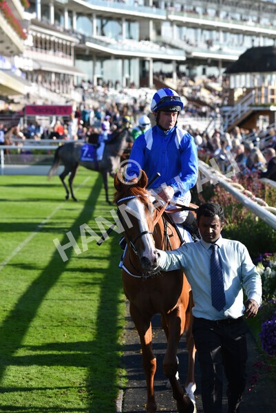 yr08102021r4-5 - Race 4 3.50pm Casumo Dare To be Different Handicap