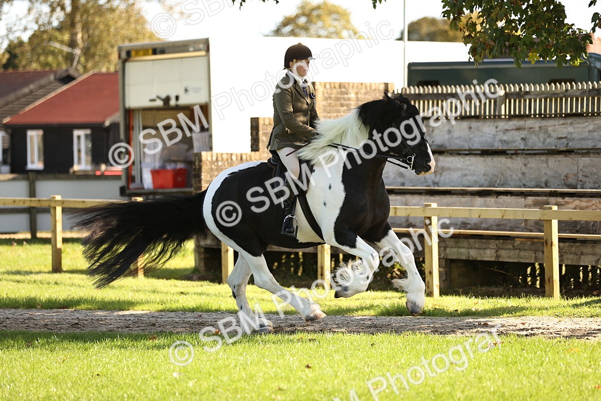 SBM_16935 - S2 - TSR Ridden Pony Showing