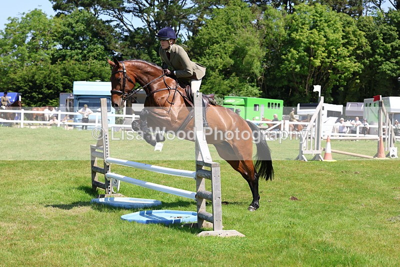 3E7A6976 - Class 30: Novice Working Hunter