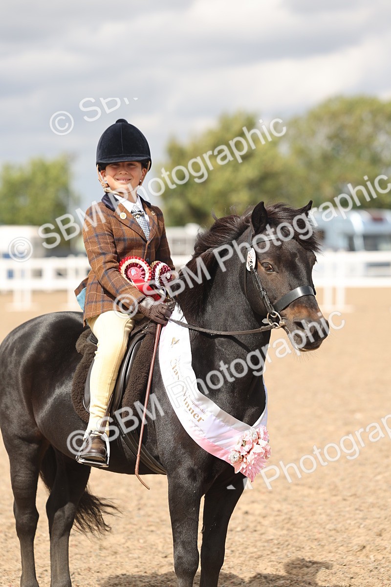 SBM_15921 - Class 310 - First Ridden Pony