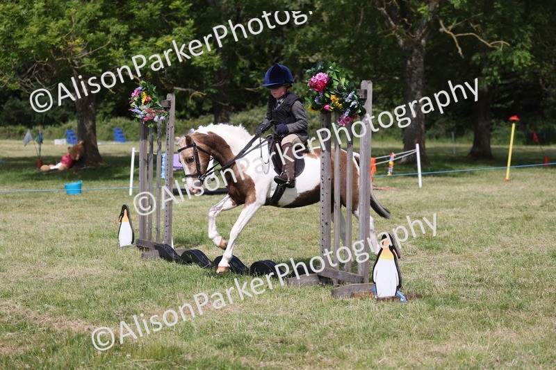 20260614-0687 - Class 20 - Beginners Working Hunter Pony