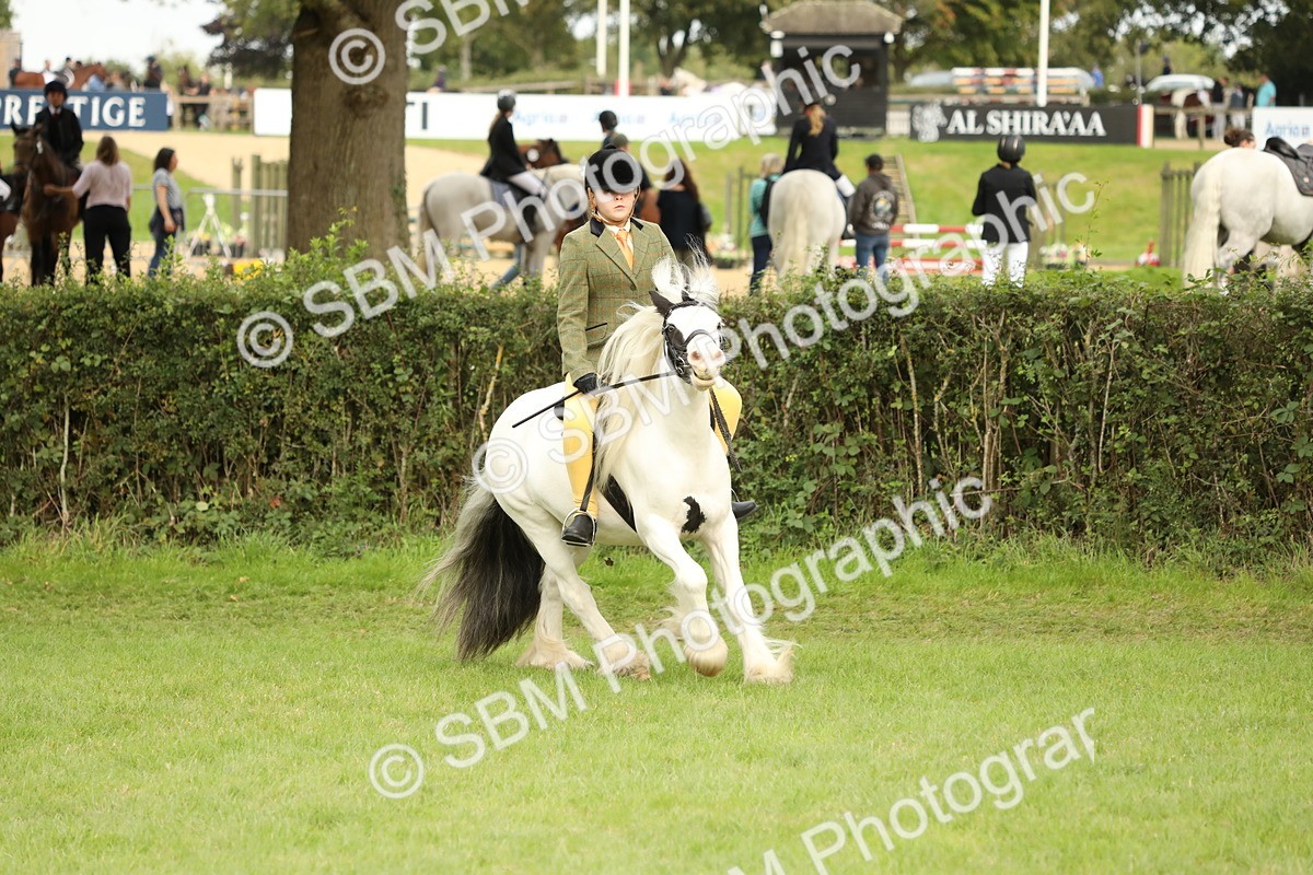 SBM_71564 - S41 - Ridden Equitation (Best Rider)